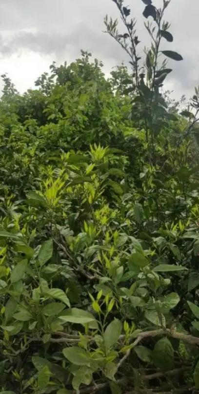 فندق Otradnoeفي  Arins-Park المظهر الخارجي الصورة